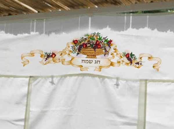 סוכה דור לדור השלם