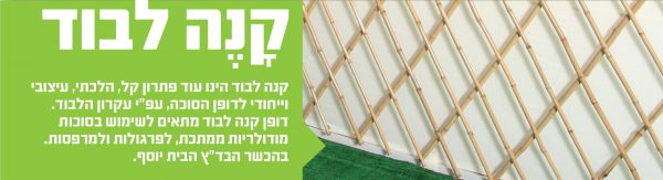⁦קנה לבוד⁩ – תמונה ⁦2⁩
