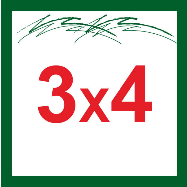 3X4