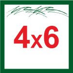4X6 +₪9,999.00