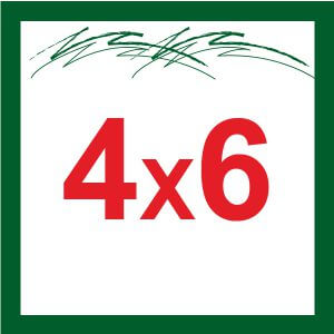 4X6