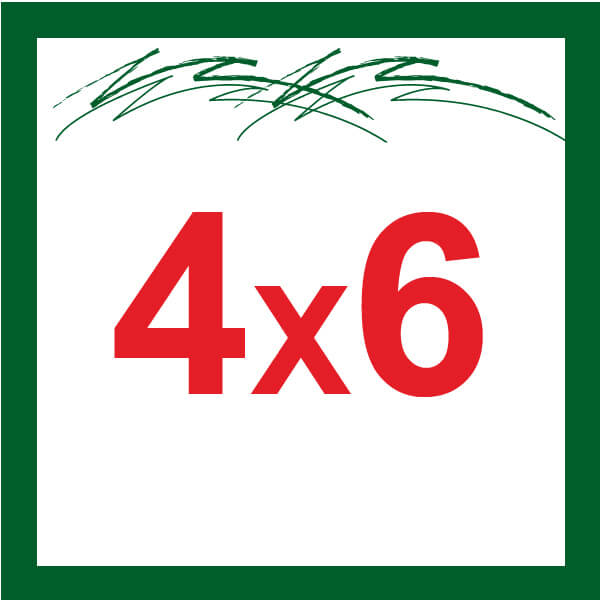 4X6