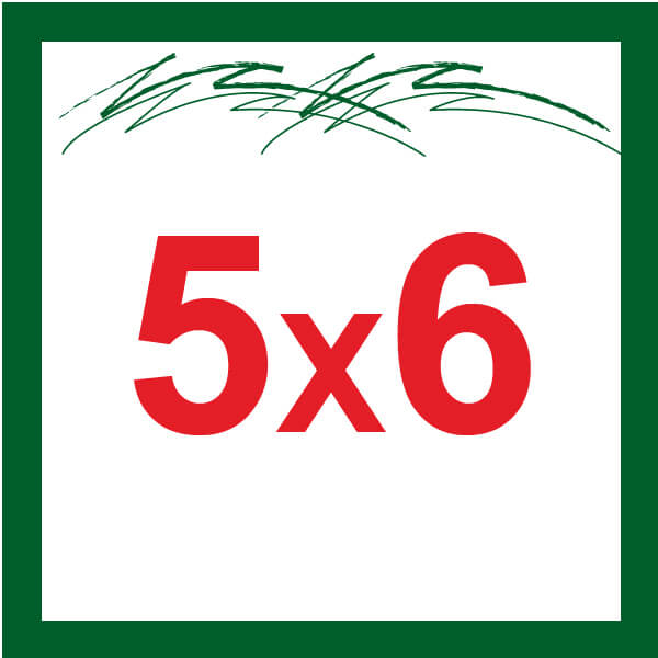5X6