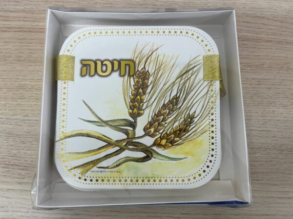 ⁦שרשרת מיגנוטים⁩ – תמונה ⁦2⁩