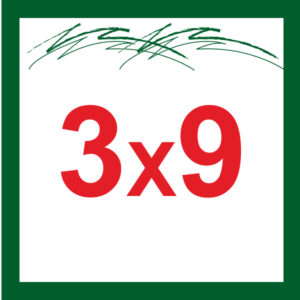 3X9