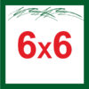6X6