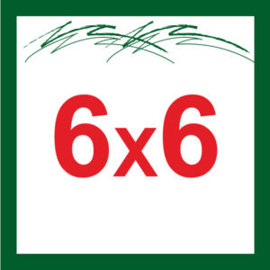 6X6