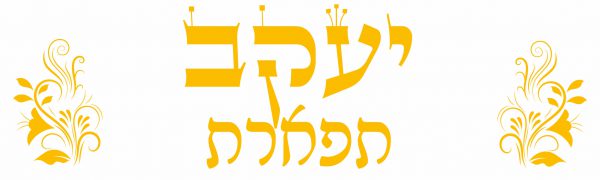⁦כתר אושפזין - מתנה מושלמת לחג!⁩ – תמונה ⁦4⁩