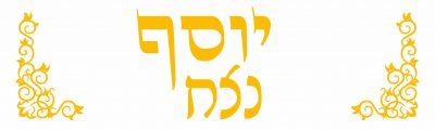 בודדים זהב4