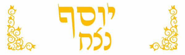 ⁦כתר אושפזין - מתנה מושלמת לחג!⁩ – תמונה ⁦3⁩