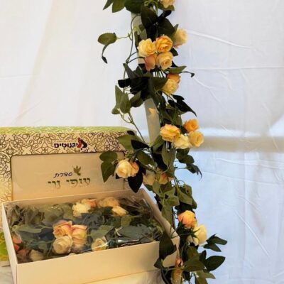 זוג עלים8 (8) Cropped