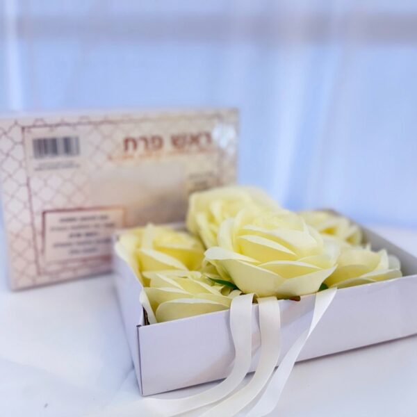 מארז6 פרח קרם (1) Cropped