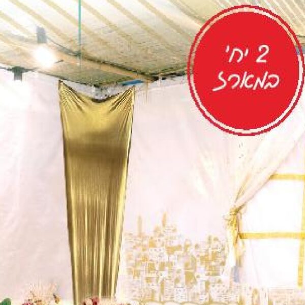 מעצב פינה זהב Cropped