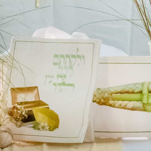 נרתיק לבן