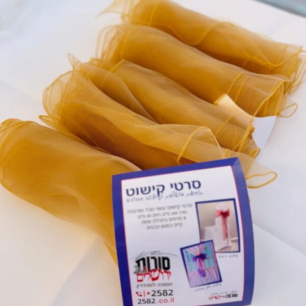 סרטיקישוט שמפניה (15) Cropped