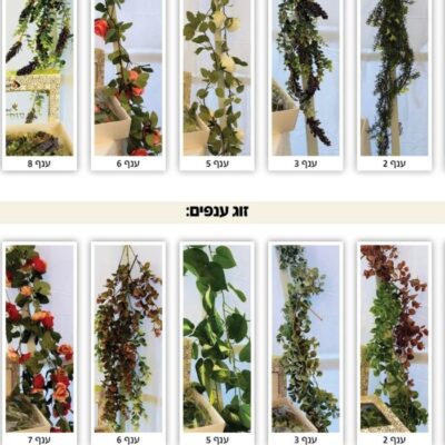 ענפים Cropped