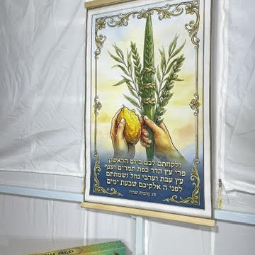 פוסטר_4מינים_square